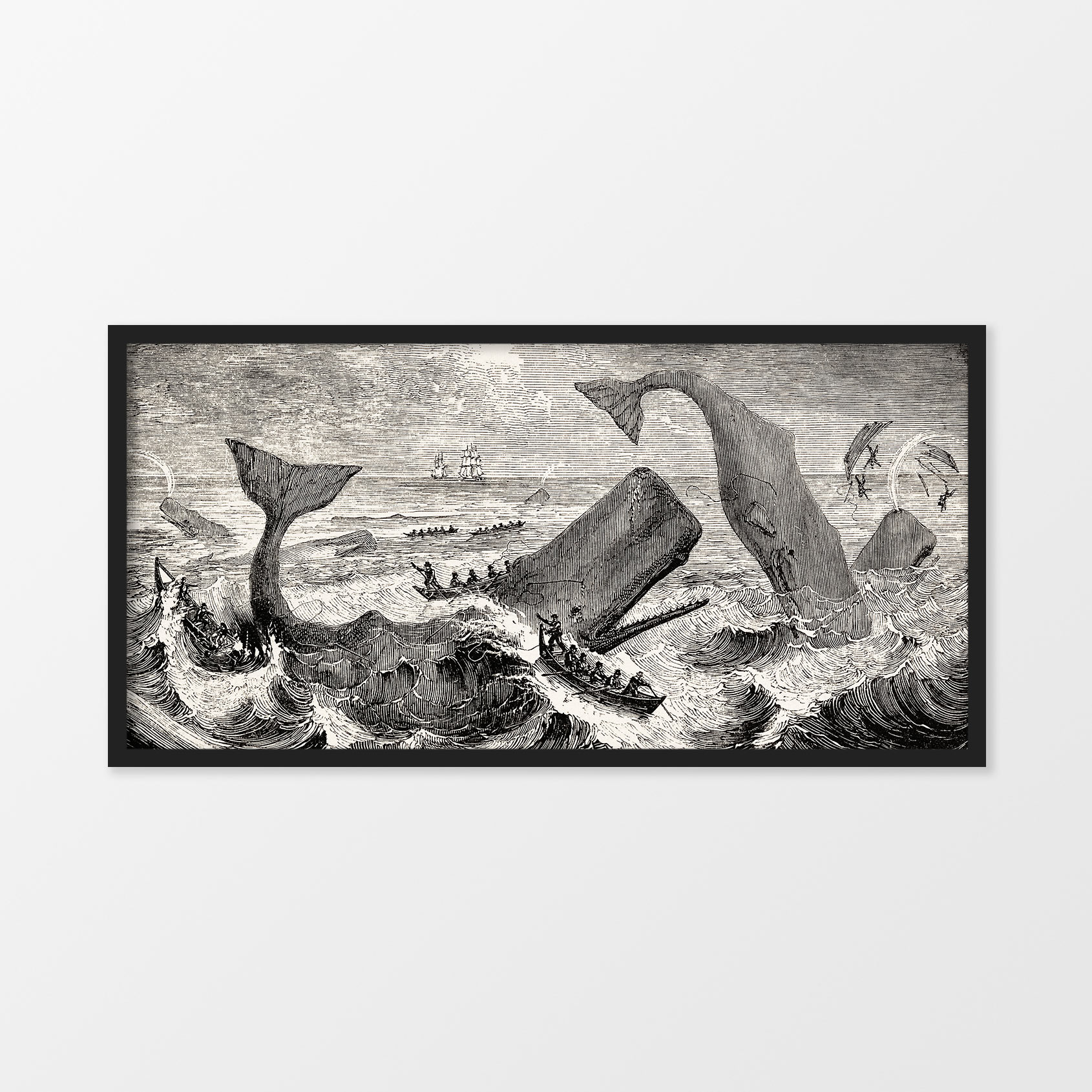 Sperm Whale (1839) product